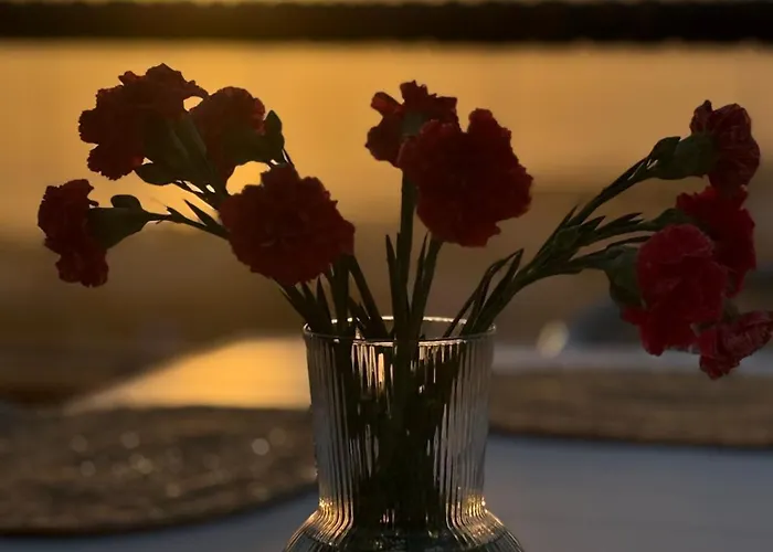 Daire Casa Clara Ocean&mountains View Costa Adeje